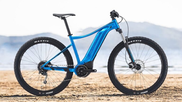 cheap ebikes