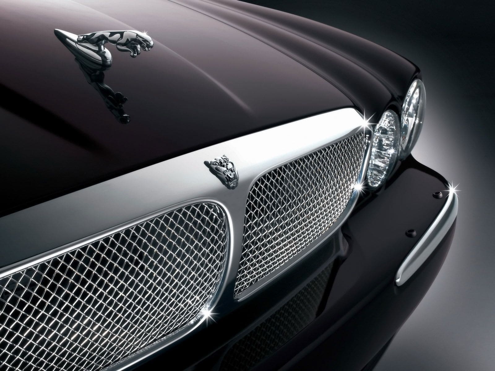 jaguar car logo