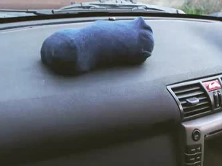 another kitty litter hack