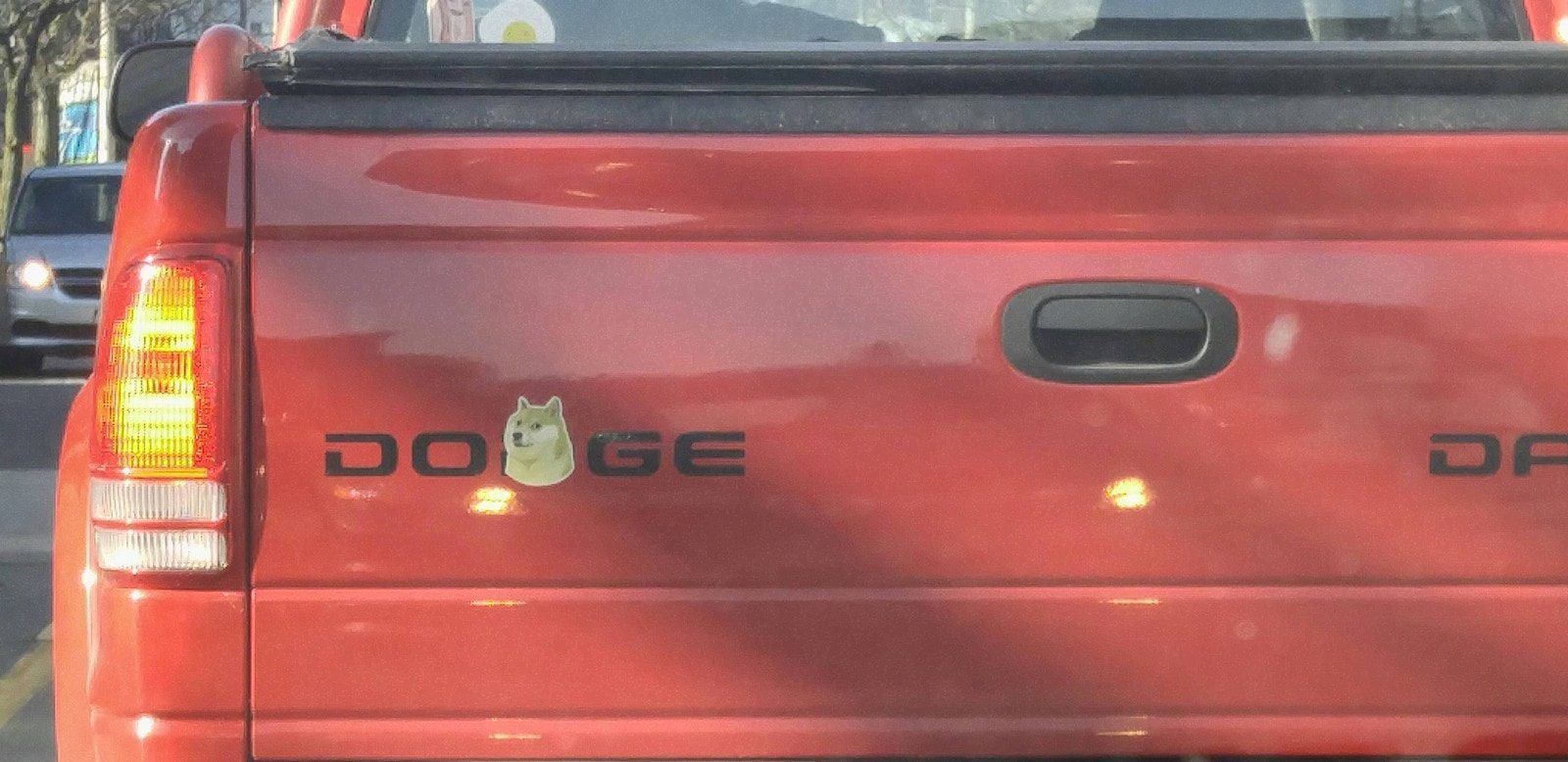 hidden doge