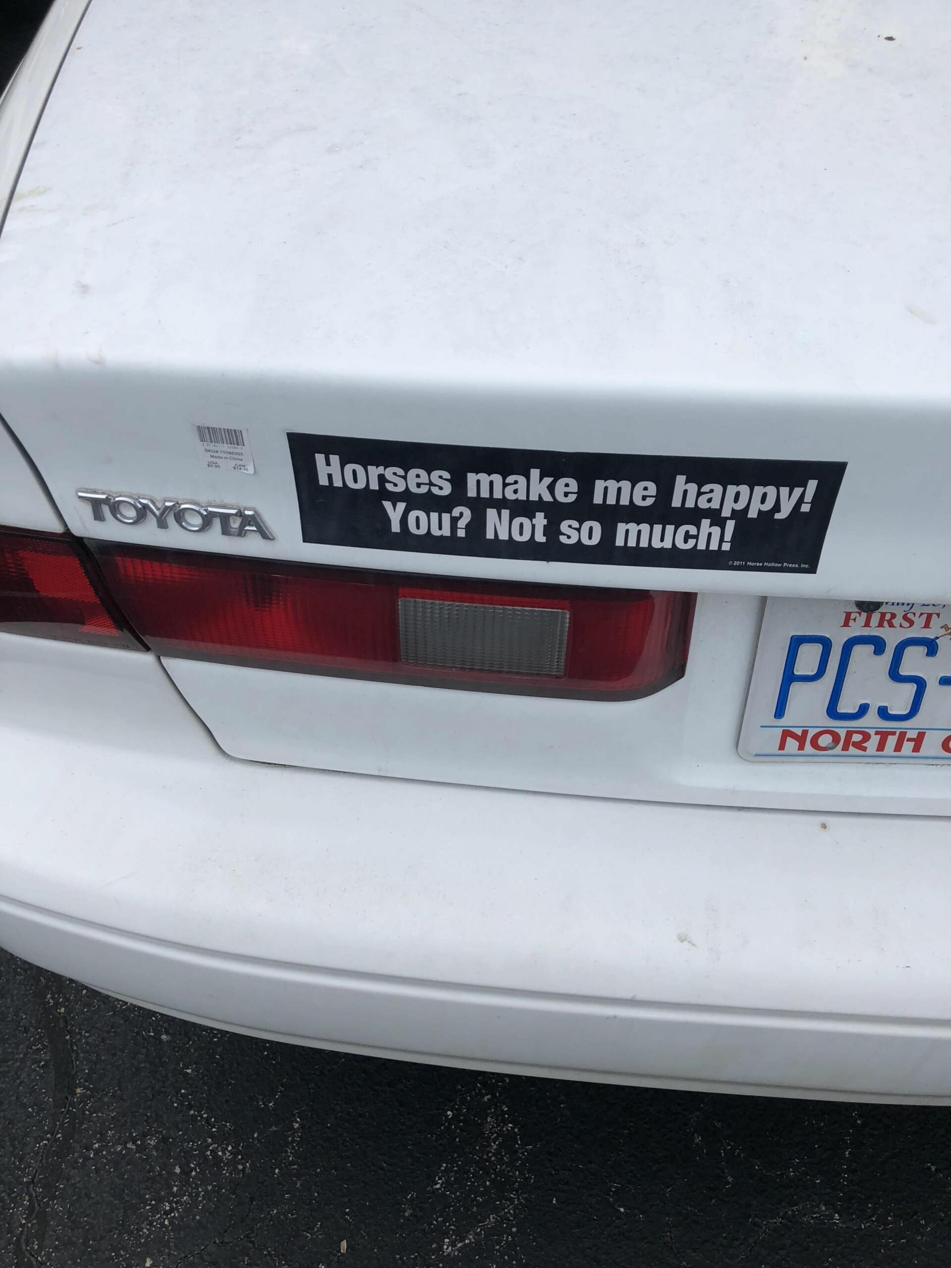 horses make me happy
