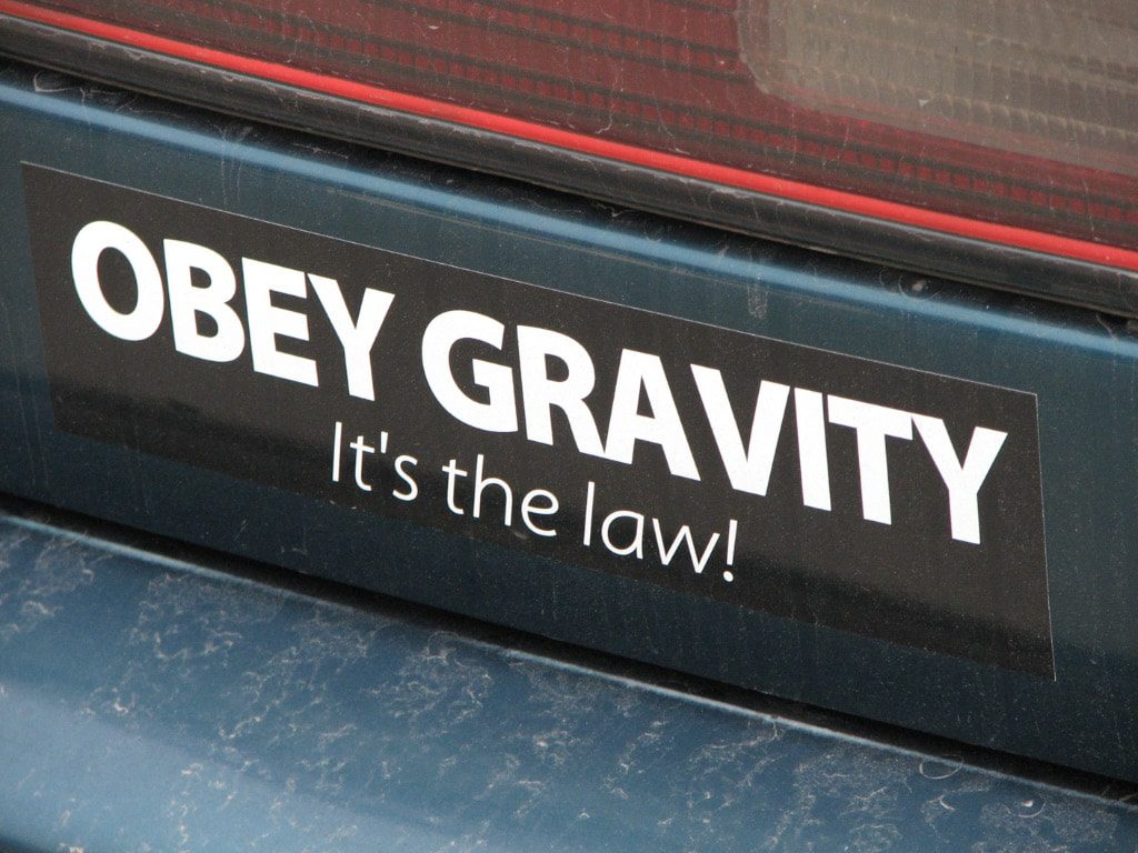 obey gravity