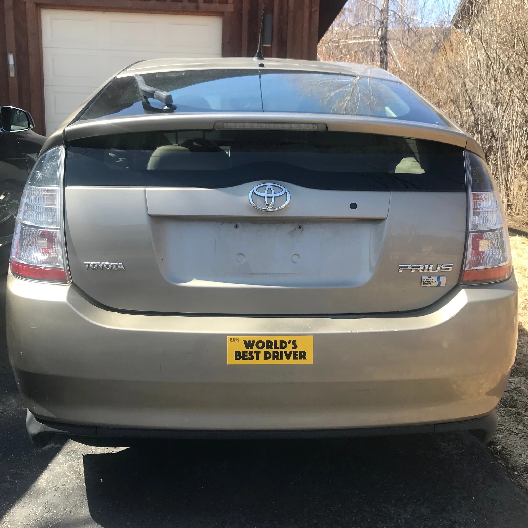 world best driver