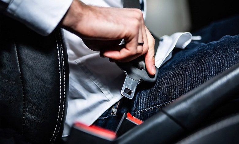 car seal belt