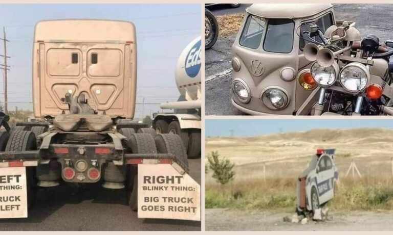 35 funny photos of bad drivers that make us question how the heck they got a license