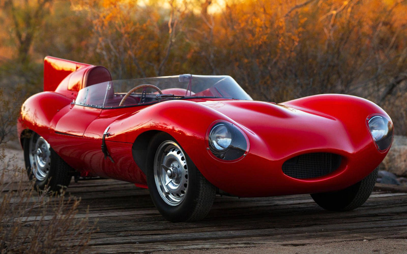 1955 jaguar d type