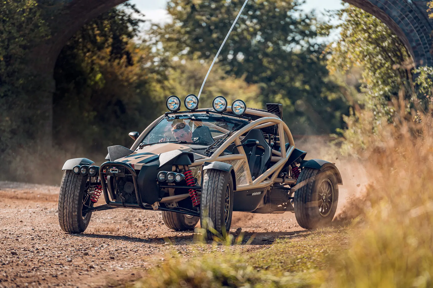 ariel nomad