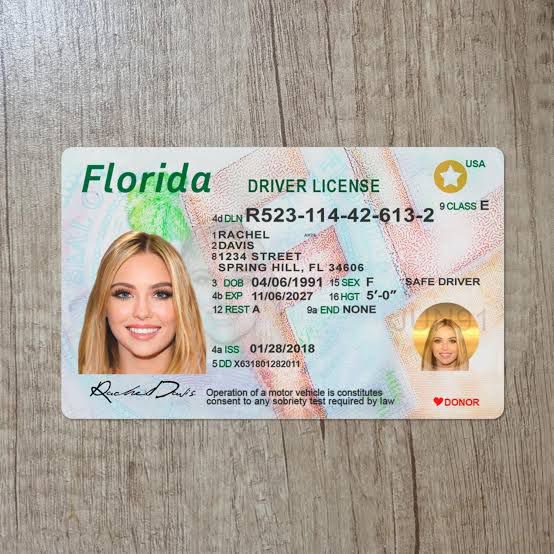florida drivers license