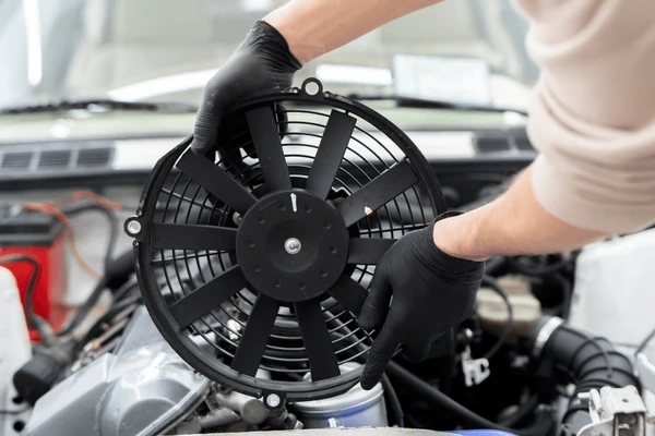 electronic fan
