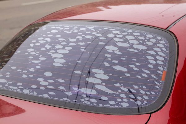 bubble in tint