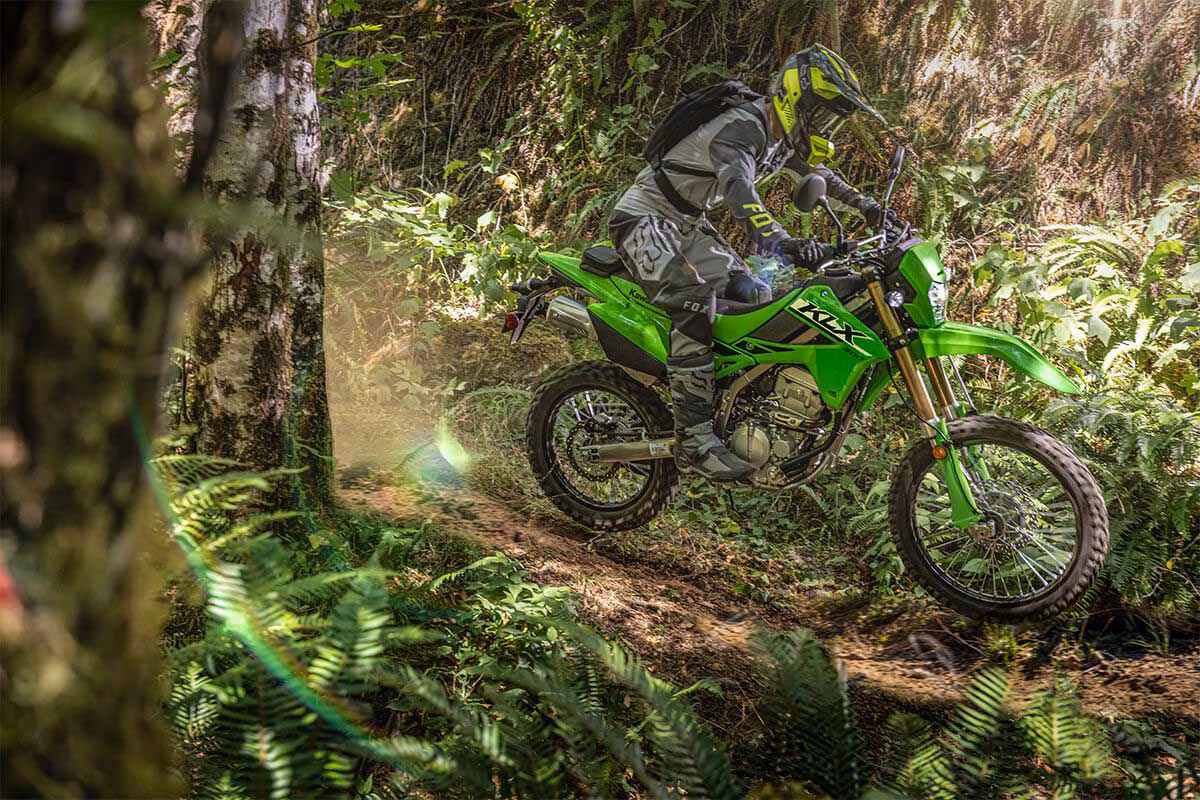 kawasaki klx300