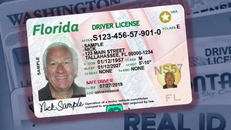 florida drivers license