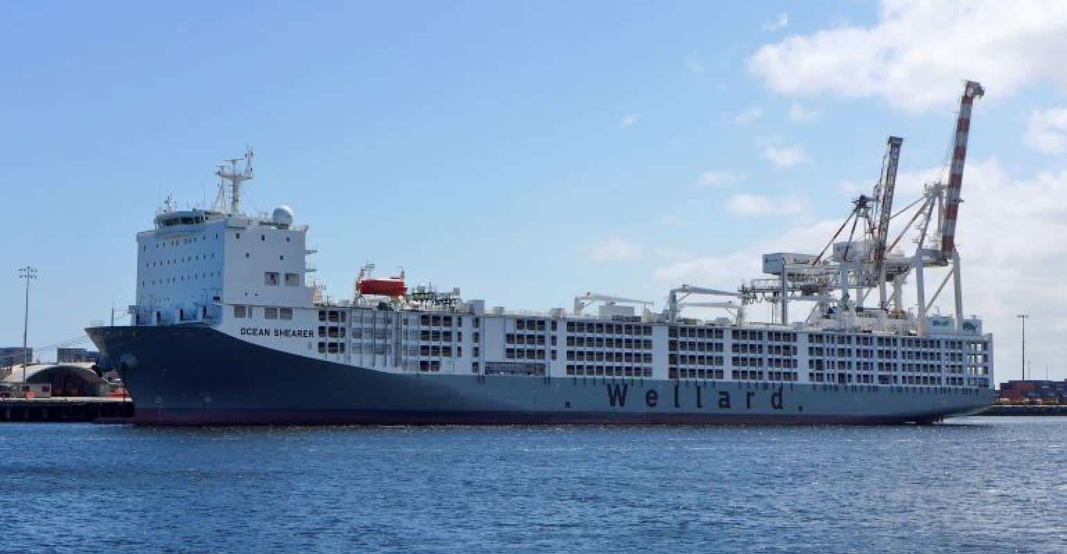 livestock carriers