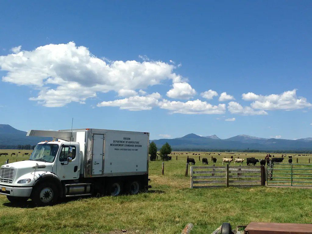 livestock truck