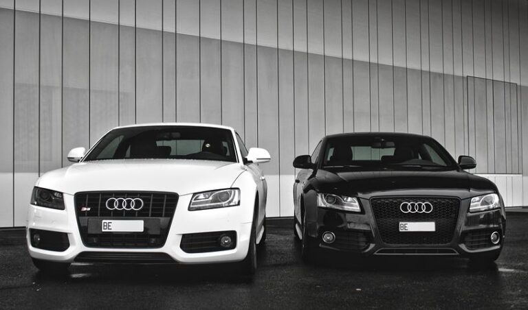 white or black